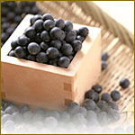 �������̌��ޗ�